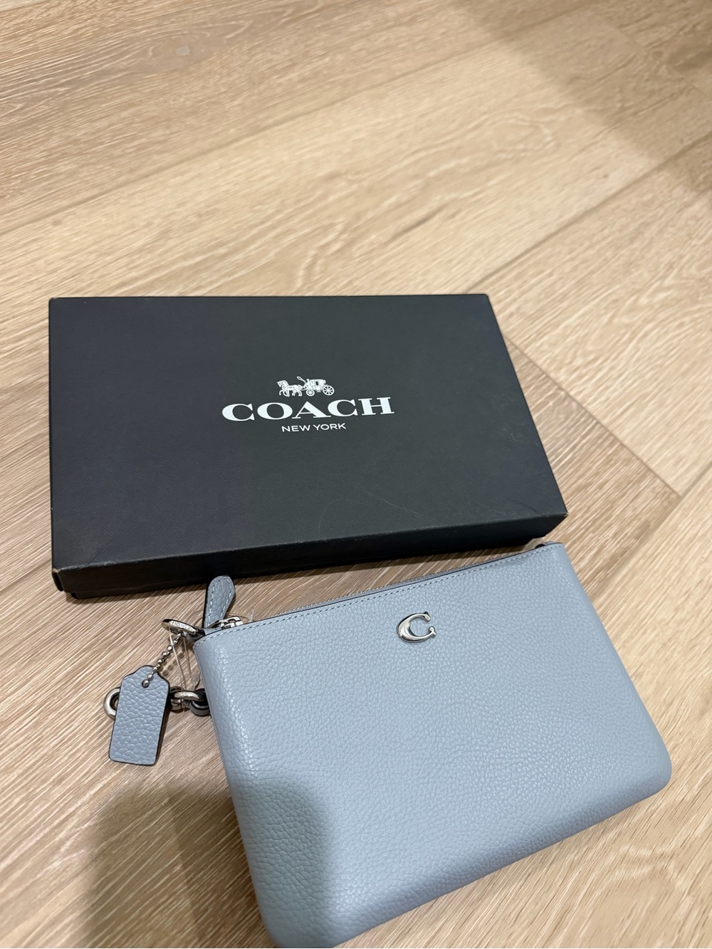 Coach Small Pebbled Leather Zip Pouch in Pale Blue